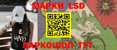 гашик Новозыбков