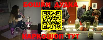 гашик Новозыбков