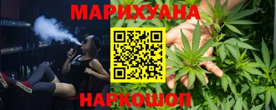 гашик Новозыбков