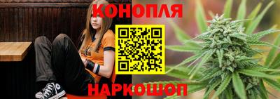 гашик Новозыбков