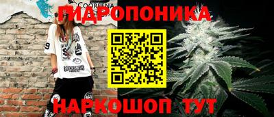 соль ск Обнинск