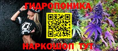 тгк Новокубанск