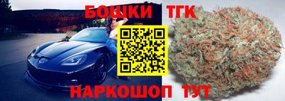 гашик Новозыбков