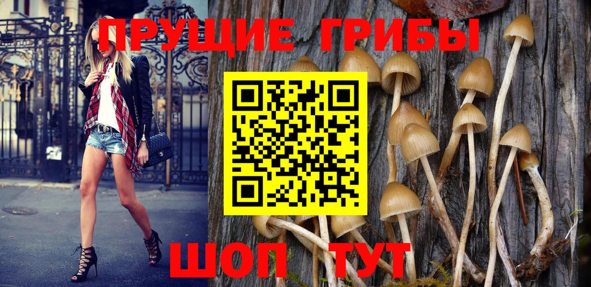 закладки  Галлюциногенные грибы Magic Shrooms  Вход с VPN  Улан-Удэ 